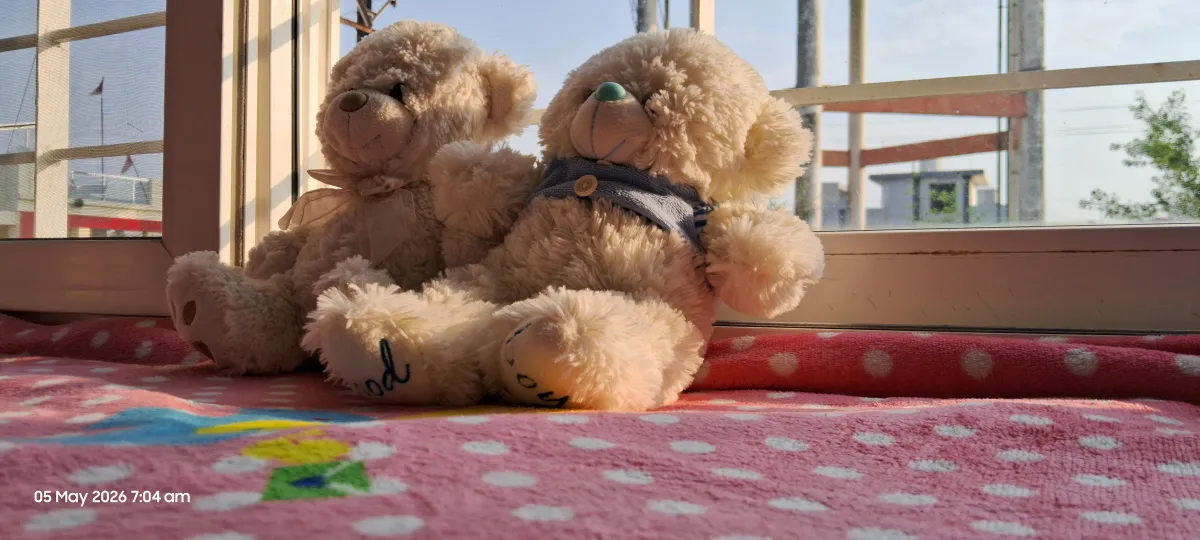 Image of two teddy bears sitting in golden sunshine of our home's laundry room. Shot by Prashant Mondal on 2026-05-05.