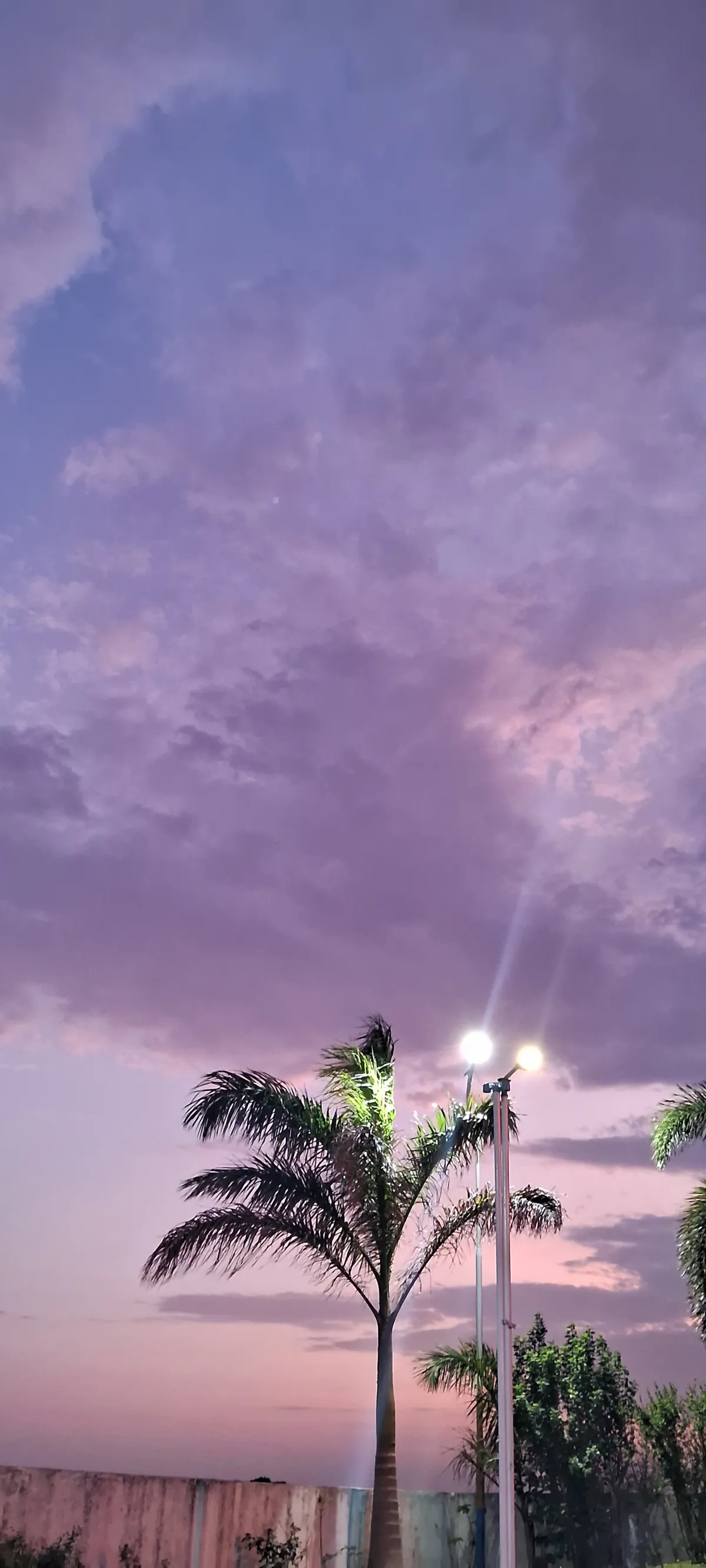 Image of Barbati IndianOil petrol pump's pink sky with solar streetlights and a palm tree (portrait). Shot by Sushant Mondal on 2026-06-09.